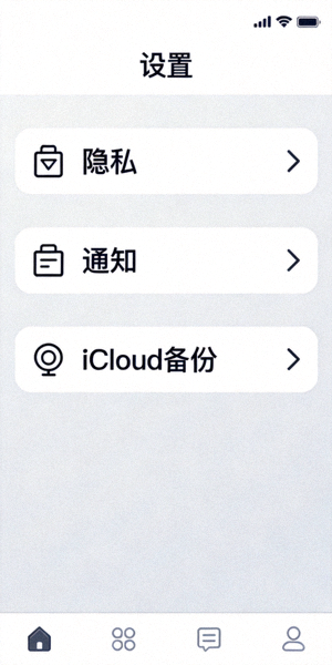 纸飞机iOS版设置界面截图 - 显示隐私、通知和iCloud备份选项