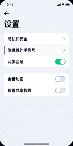 纸飞机应用设置界面截图 - 显示隐私和安全设置选项